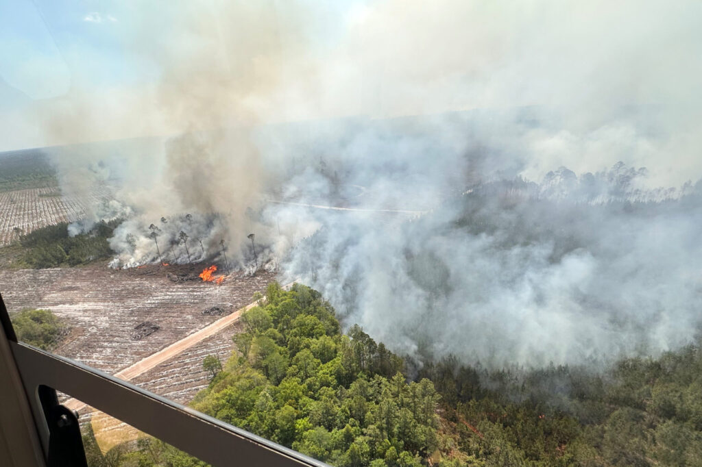 King Bars Policy Cancellations in Georgia Counties as Fires Spread from Helene Debris