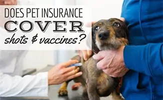 Does Pet Insurance Cover Shots & Vaccines?