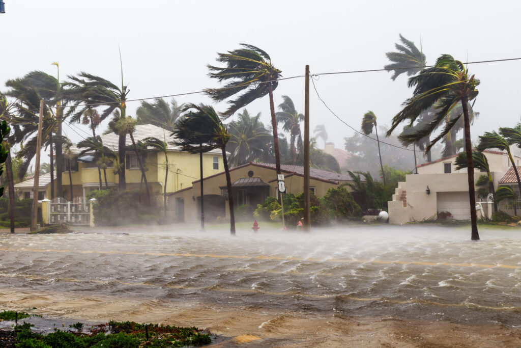 Most Are Overcharged for Property Insurance, Vanderbilt Study Says
