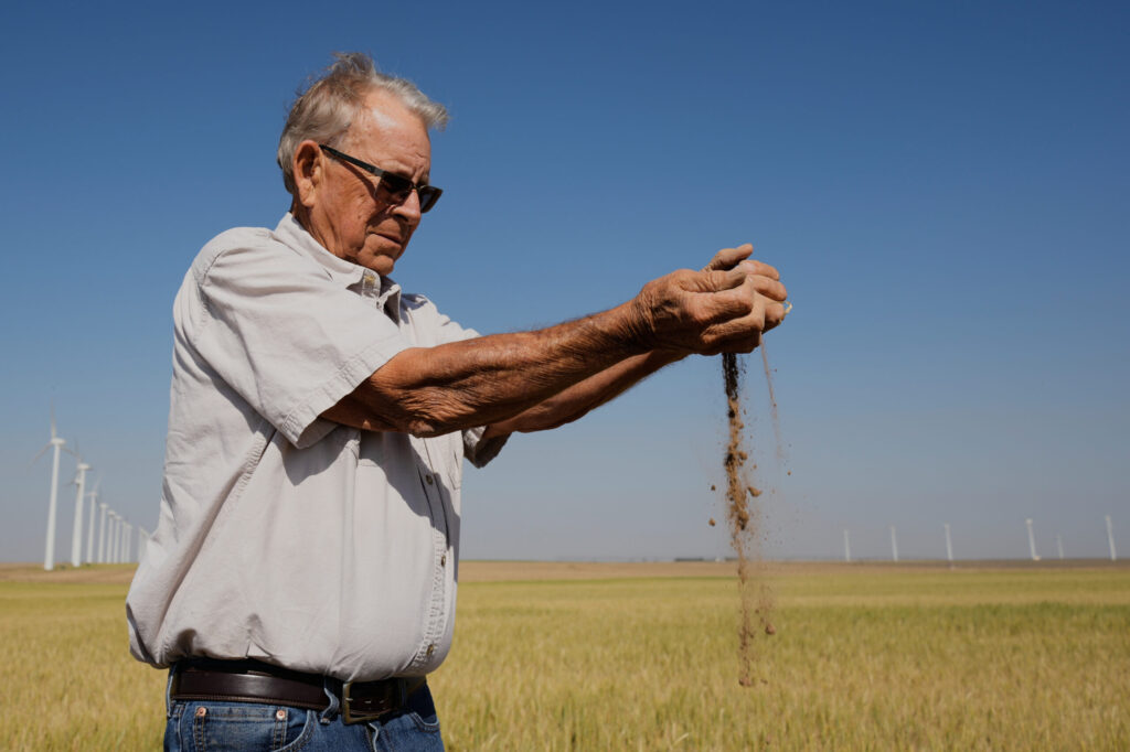Record-Setting Drought Devastates Wheat Crop in Kansas