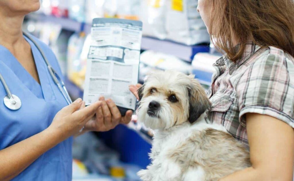 Does Pet Insurance Cover Prescription Food? Benefits, Brands & More