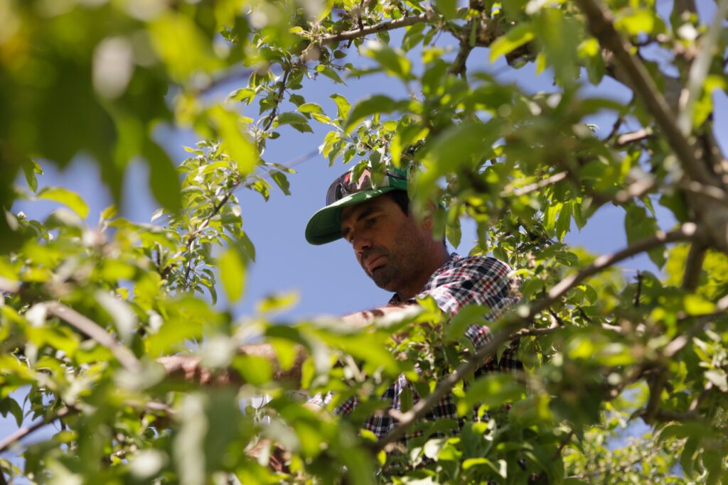 Vermont Is First State to Ban Paraquat Weed Killer Linked to Parkinson’s Disease