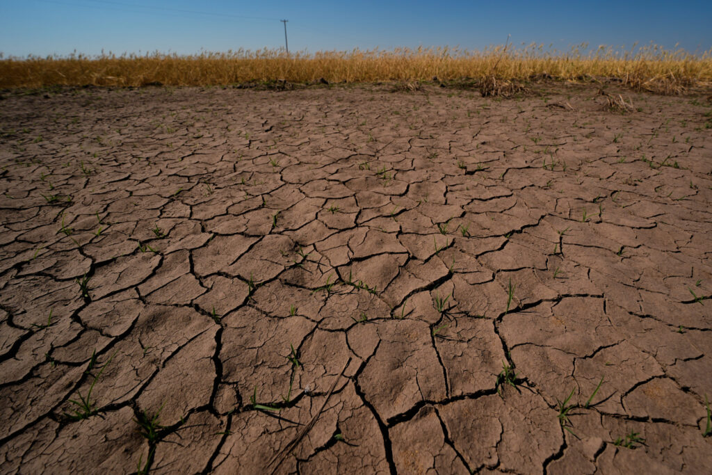 El Nino Is Here and Scientists Fear It’ll Bring Costly Heat, Floods, Droughts, Fires