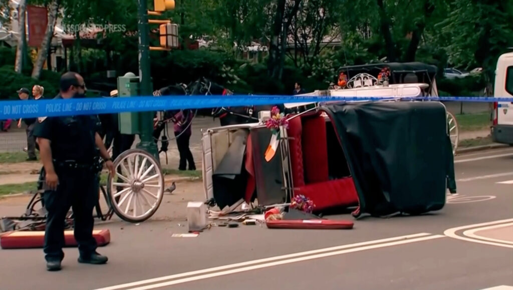 NYC Mayor, Other Leaders Want Ban on Horse Carriage Rides After Teen’s Death
