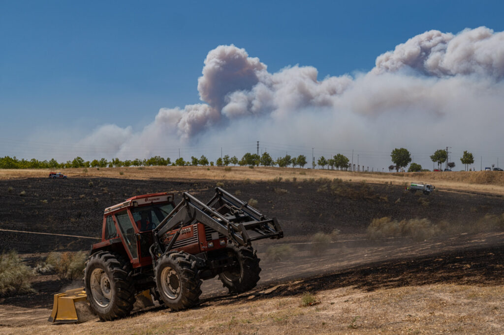 French Fire Burns Near Bordeaux as Spain Fights Blazes