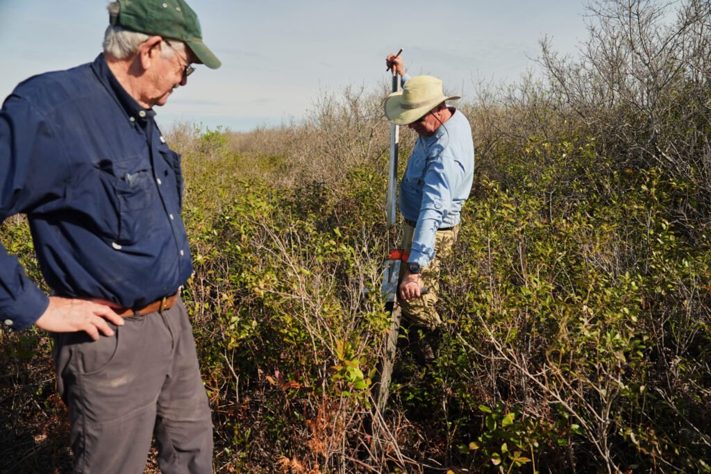 Race is on in North Carolina to Restore Critical Peatland Before it is Gone