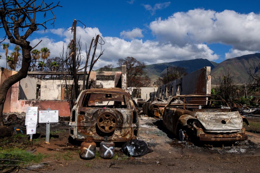 Residents Near Maui Wildfires Show Elevated Metals Linked to Lung Health Impacts