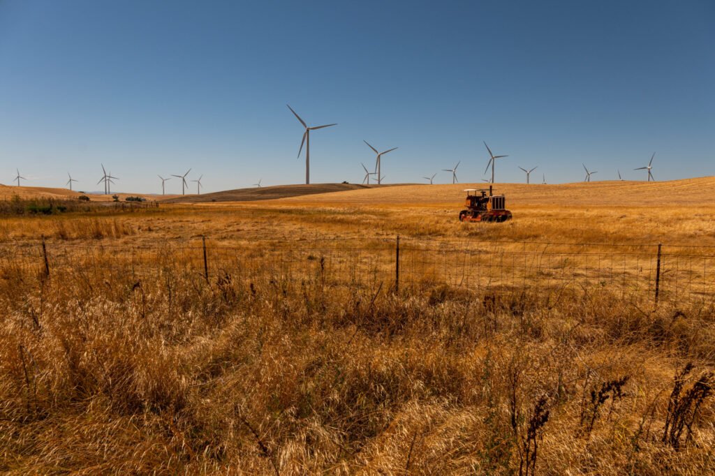 Pentagon Clears Wind Farms in Permitting Reform Push